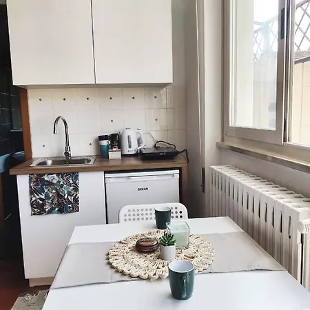 Bright Penthouse 2 M Stops From Vatican Museums アパート